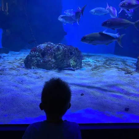 Exceptional With 2 Bedrooms Near The Sea